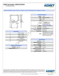 CCR05CG121FRV Datasheet Cover