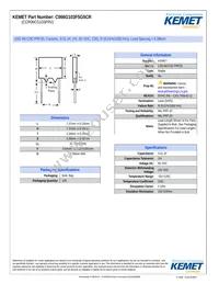 CCR06CG103FRV Datasheet Cover