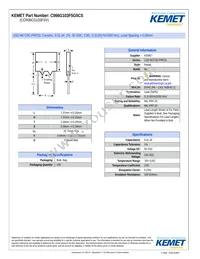 CCR06CG103FSV Datasheet Cover