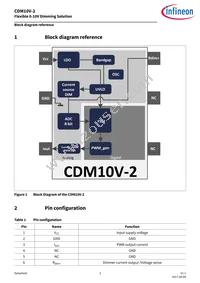 CDM10V2XTSA1 Datasheet Page 3