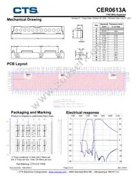 CER0613A Datasheet Page 2