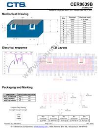 CER0839B Datasheet Page 2