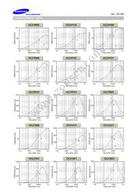 CIC21P300NE Datasheet Page 2