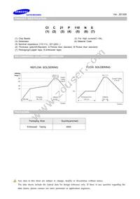 CIC21P300NE Datasheet Page 3