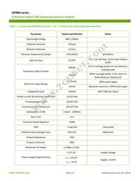 CIPRM-110 Datasheet Page 2