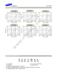 CIS21P300NE Datasheet Page 2