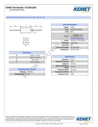 CK13BX103K Cover