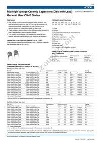 CK45-E3FD103ZYNNA Datasheet Page 2