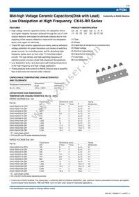 CK45-R3FD222K-NR Datasheet Page 2