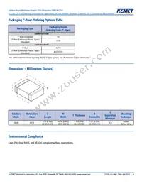 CKC33C224FCGACAUTO Datasheet Page 4