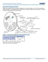 CKC33C224FCGACAUTO Datasheet Page 10