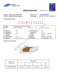 CL02C040BO2GNNC Datasheet Cover