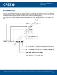 CLM1T-RKW-CTAUACC3 Datasheet Page 7