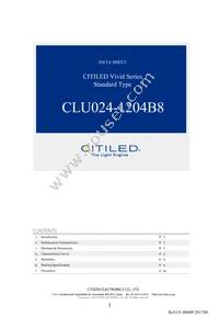 CLU024-1204B8-LPGV1F7 Datasheet Cover