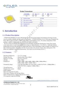 CLU026-1204C1-653M2G2 Datasheet Page 2