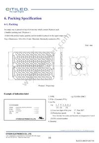 CLU026-1204C1-653M2G2 Datasheet Page 10