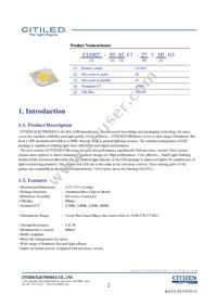 CLU027-0303C1-403H5G3 Datasheet Page 2