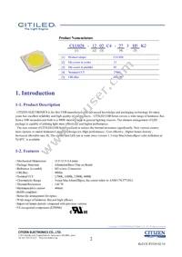 CLU028-1202C4-273H5K2 Datasheet Page 2