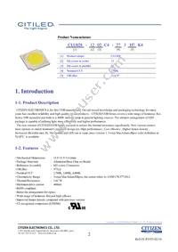 CLU028-1202C4-403H7K4 Datasheet Page 2