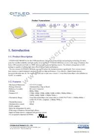 CLU028-1202C4-653M2K1 Datasheet Page 2