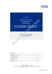 CLU028-1203C4-353H5K2 Cover