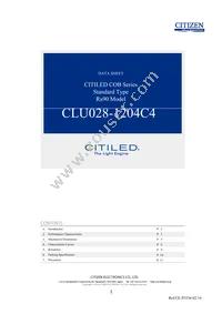 CLU028-1204C4-273H5K2 Datasheet Cover