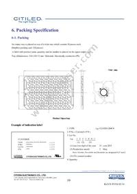 CLU028-1204C4-273H5K2 Datasheet Page 10