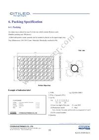 CLU036-1208C1-403H5G3 Datasheet Page 10