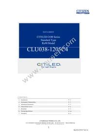 CLU038-1205C4-273H5K2 Datasheet Cover