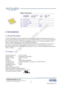 CLU038-1205C4-273H5K2 Datasheet Page 2