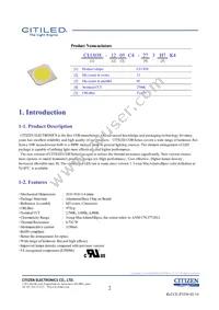 CLU038-1205C4-403H7K4 Datasheet Page 2