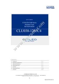 CLU038-1205C4-653M2K1 Cover