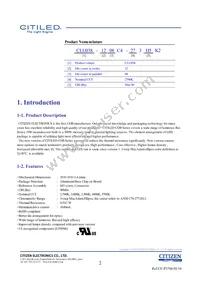 CLU038-1208C4-403H5K2 Datasheet Page 2