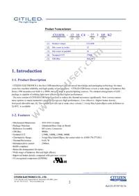 CLU038-1210C4-403H5K2 Datasheet Page 2