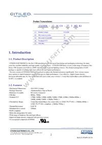 CLU038-1210C4-653M2K1 Datasheet Page 2