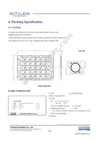 CLU046-1212C1-653M2G2 Datasheet Page 10