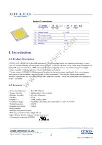 CLU048-1812C4-273H7K4 Datasheet Page 2