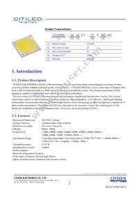 CLU056-3618C1-653M2G2 Datasheet Page 2