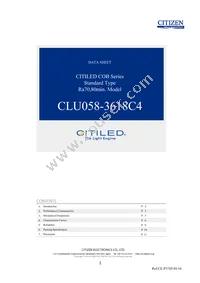 CLU058-3618C4-653M2K1 Datasheet Cover