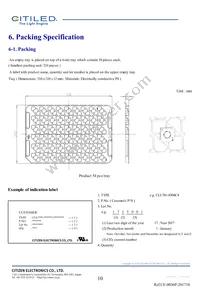 CLU701-0304C4-353H5K2 Datasheet Page 10