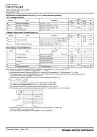 CM100TX-24S Datasheet Page 3
