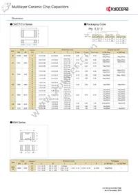 CM21X5R106K06AL Datasheet Page 2