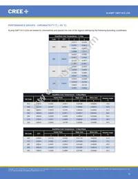 CMT1412-0000-00PN0U0A40G Datasheet Page 10