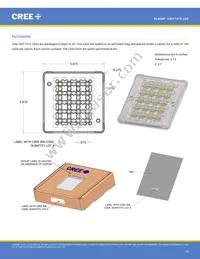 CMT1412-0000-00PN0U0A40G Datasheet Page 19