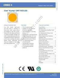 CMT1925-0000-00PN0U0A40G Datasheet Cover