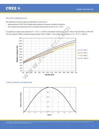 CMT1925-0000-00PN0U0A40G Datasheet Page 9