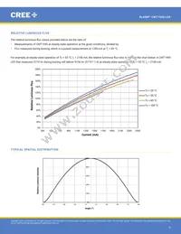 CMT1945-0000-00PN0U0A40G Datasheet Page 9