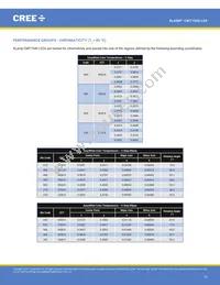 CMT1945-0000-00PN0U0A40G Datasheet Page 10