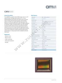 CMV4000-2E5M1PN Datasheet Page 13