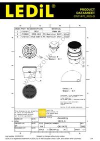 CN11470_IRIS-O Datasheet Page 2